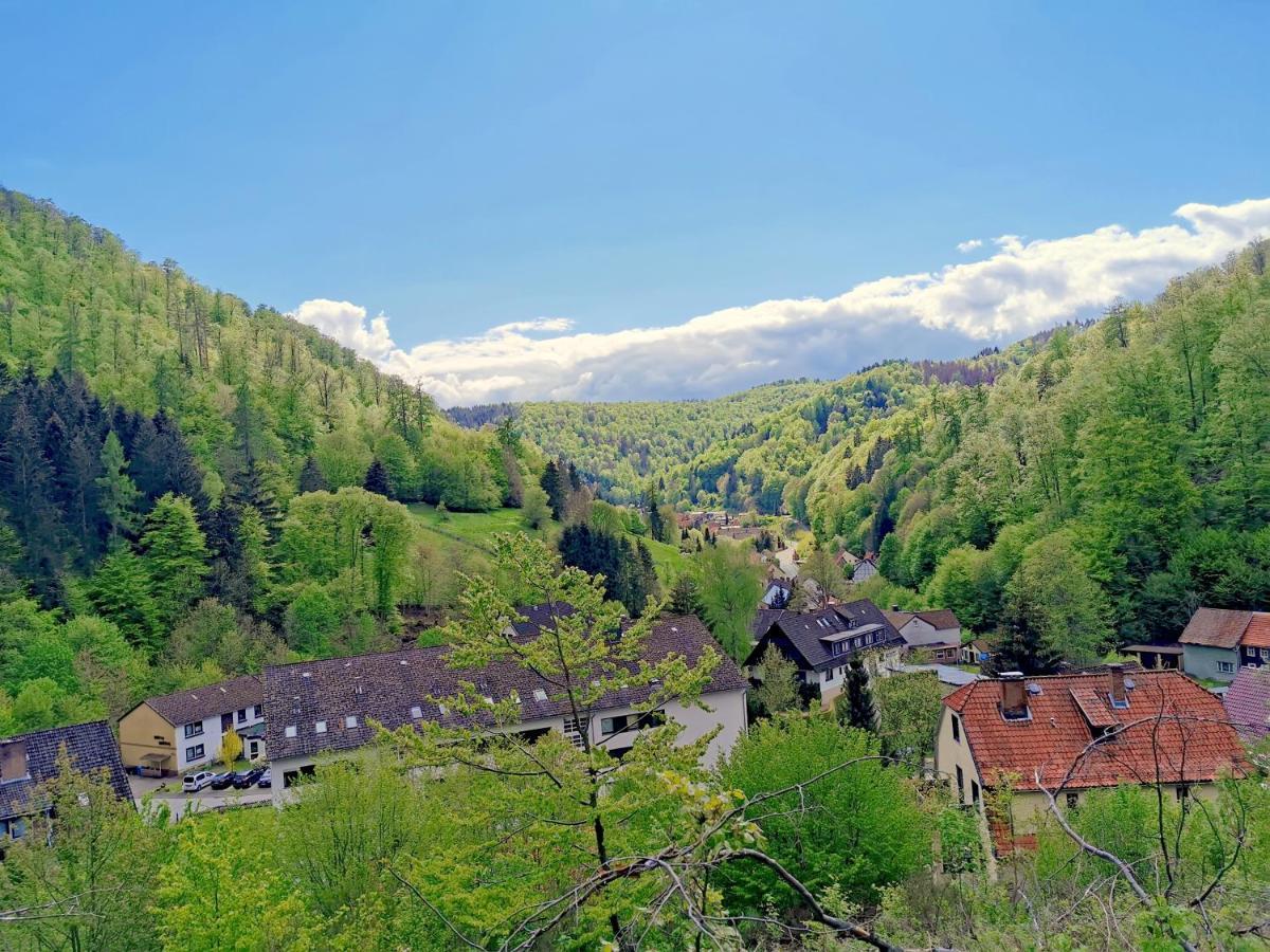 Vor Lauter Baeumen B&B Zorge 外观 照片