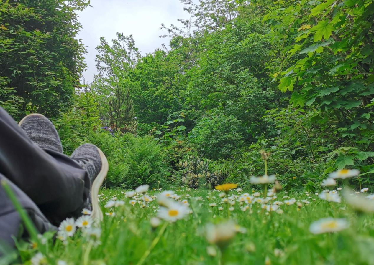 Vor Lauter Baeumen B&B Zorge 外观 照片