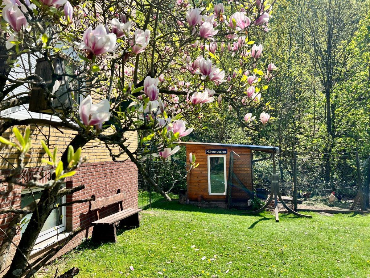 Vor Lauter Baeumen B&B Zorge 外观 照片