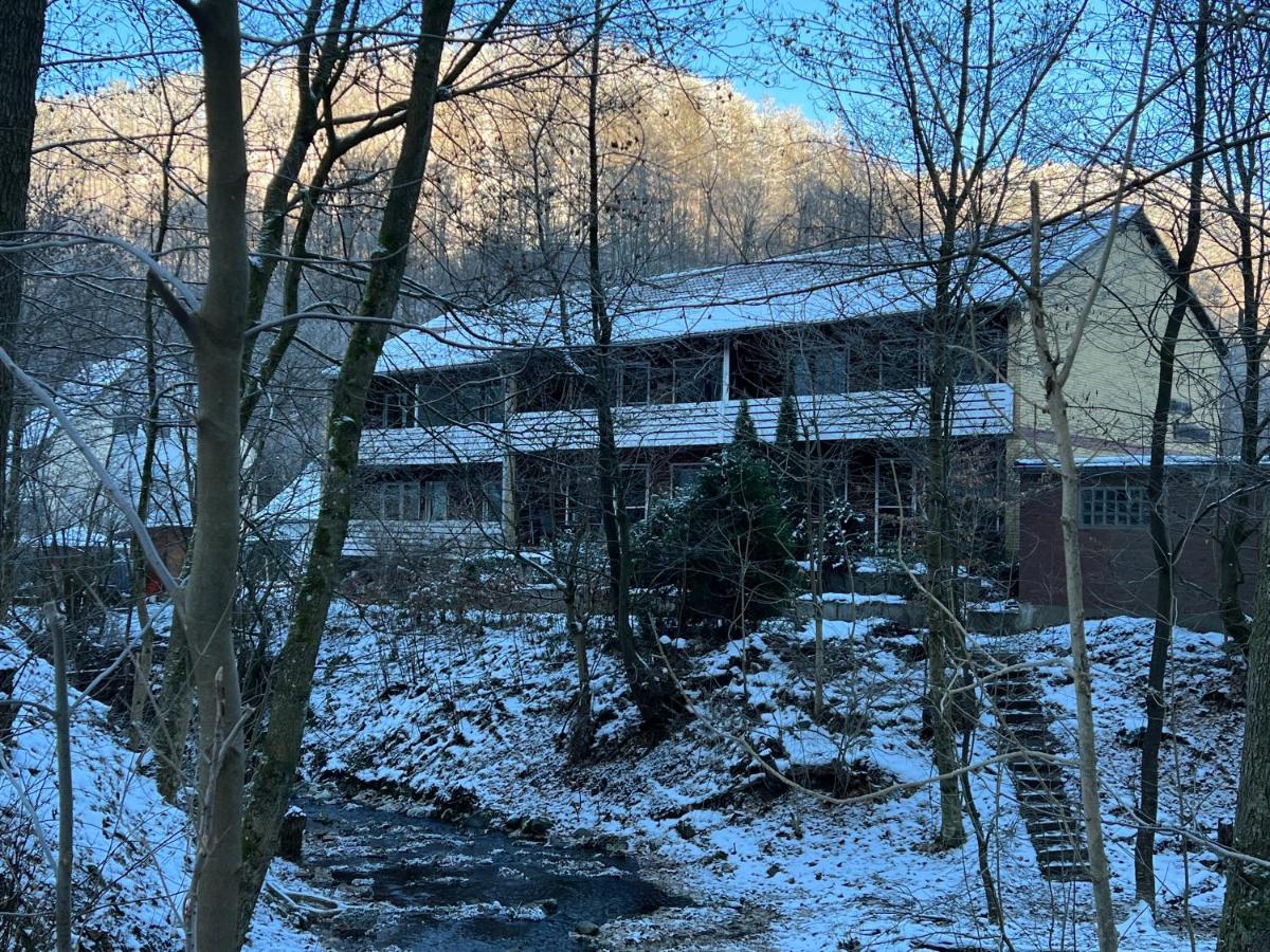 Vor Lauter Baeumen B&B Zorge 外观 照片