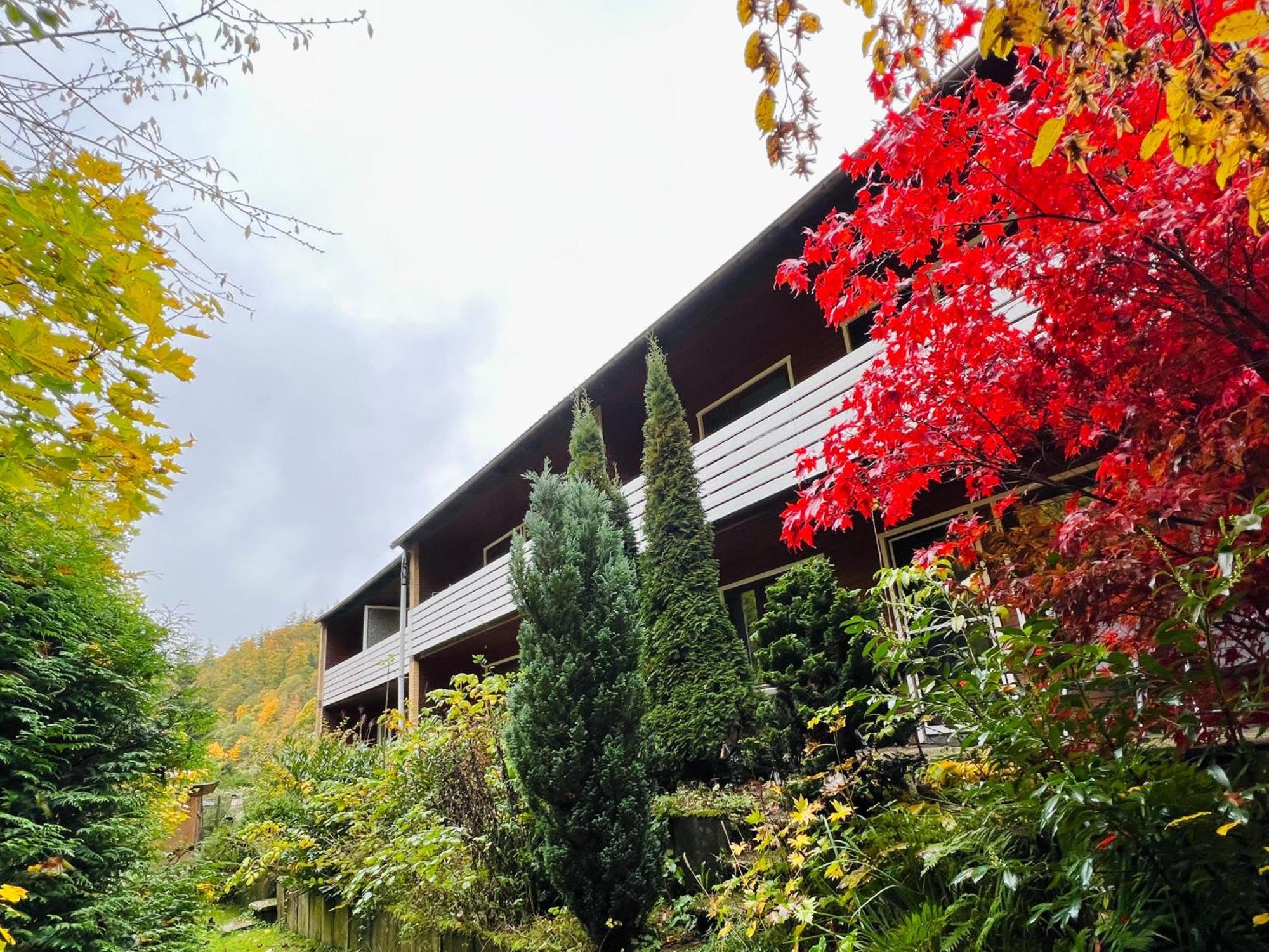 Vor Lauter Baeumen B&B Zorge 外观 照片