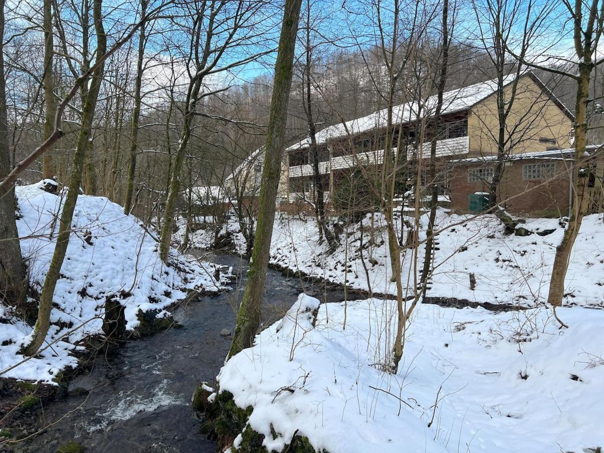 Vor Lauter Baeumen B&B Zorge 外观 照片
